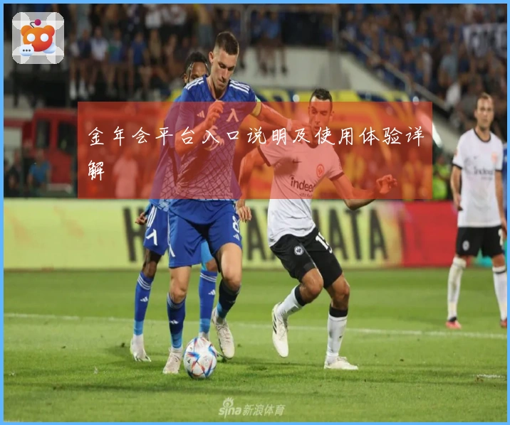 金年会平台入口说明及使用体验详解