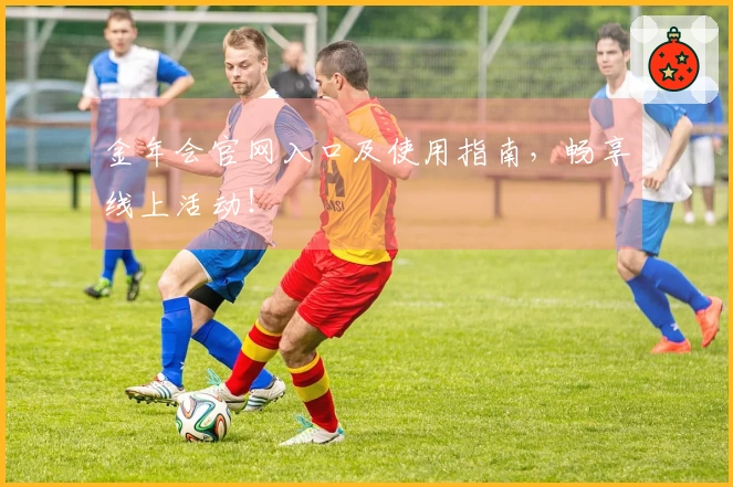 金年会官网入口及使用指南，畅享线上活动！
