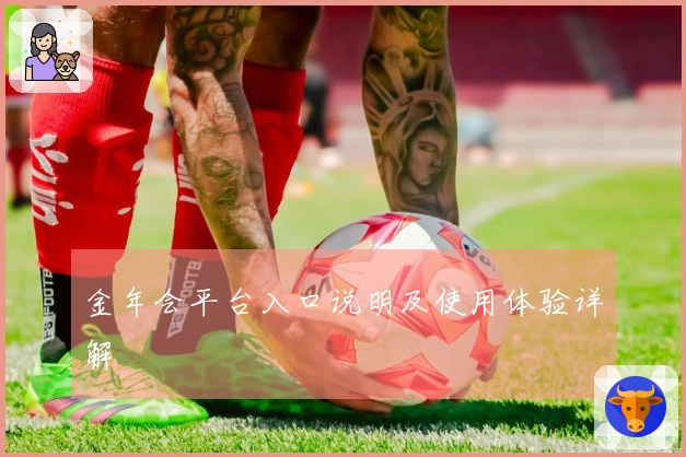 金年会平台入口说明及使用体验详解